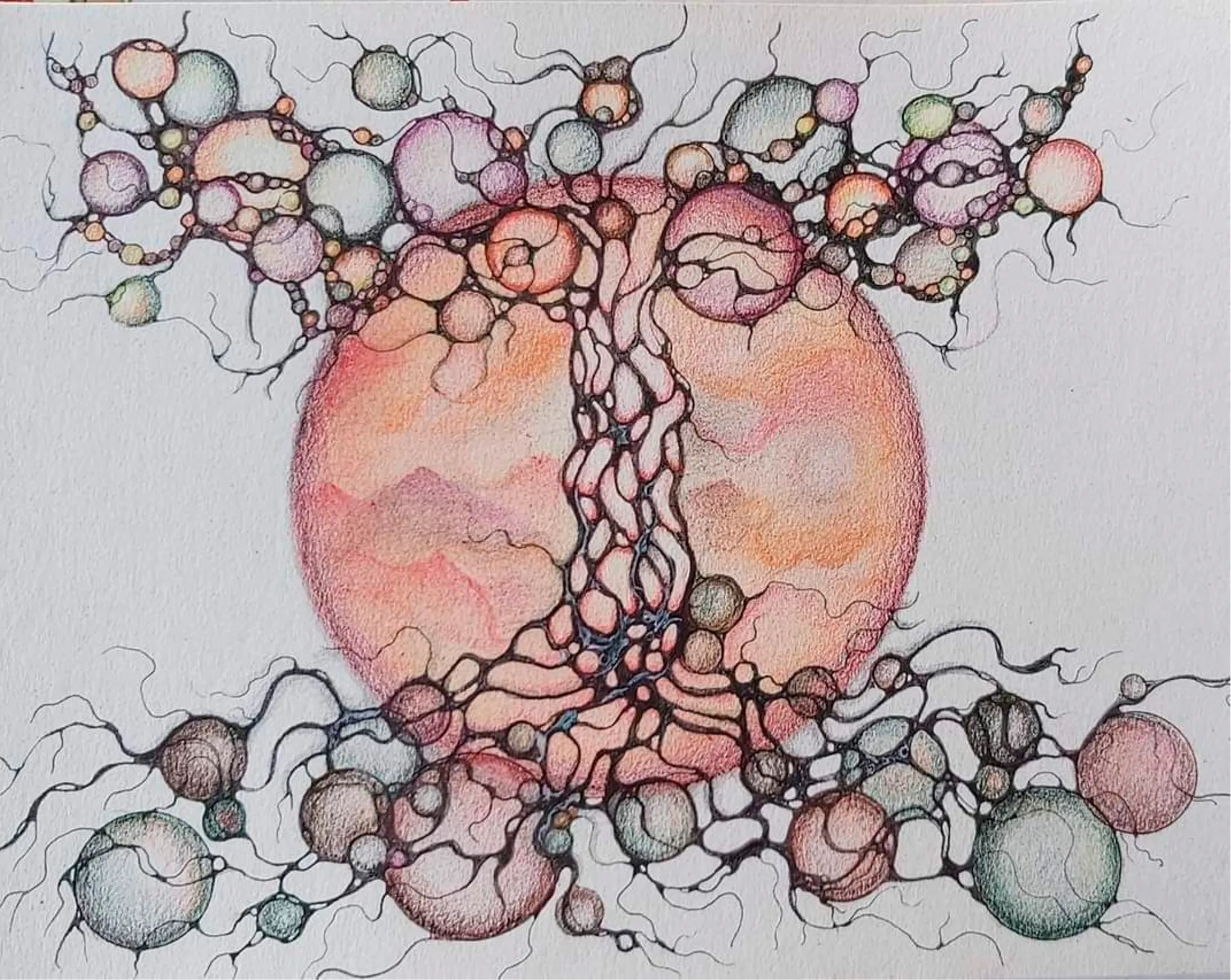 Neurografic_3