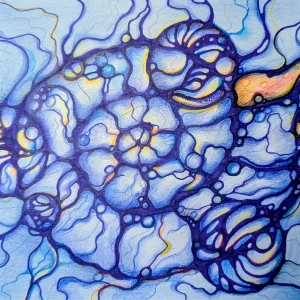 Algoritmos Principales de Neurográfica (opción VIP)